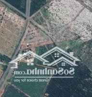 Bán Đất Tại Tổ 2, Thôn Suối Tứ, Xã Thắng Hải, Huyện Hàm Tân, Bình Thuận, Giá Bán 1,2 Tỷ, 1236 M2
