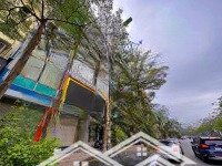Mặt Phố Xã Đàn : 125M2 - 7 Tầng - Mặt Tiền 4.5M - Nở Hậu - 2 Mặt Tiền Trước Và Sau.