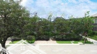 Bán 2 Nền Nhà Phố 90M2 & 225M2 Có 1 Trệt 4 Lầu 2.9 Tỷ Khu Dân Cư Nam Long Cần Thơ. Sổ Hồng Sẵn.