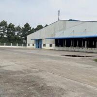 Cho thuê xưởng sản xuất 1.6ha trong KCN Nhơn Trạch, Đồng Nai, gia thuê 1 tỷ 400.