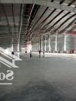 Kho Xưởng Kcn Yên Mỹ 2. Fdi/Epe, 2000M2, 3000M2, 30000M2, Pccc Tự Động, Giảm Thuế, 70Nghìn/M2/Th