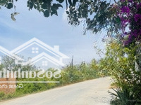 Bán Đất Thổ Cư 135,6M2 Ven Biển Dốc Lết, Ninh Hải, Ninh Hoà Giá Rẻ Chỉ 15 Triệu/M2 (2Tỷ 035 Triệu)