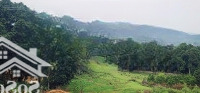 Bán Trang Trại Khu Nghỉ Dưỡng Tại Lương Sơn, 35 Tỷ, 44000 M2, Uy Tín, Hot!