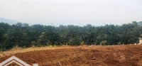 Bán Trang Trại Khu Nghỉ Dưỡng Tại Lương Sơn, 35 Tỷ, 44000 M2, Uy Tín, Hot!