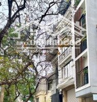Nhà Đẹp - Mặt Phố - Mặt Hồ - Lô Góc - Mặt Tiền 5 M - Dòng Tiền - Kinh Doanh - Cực Hiếm - Tây Hồ