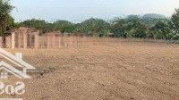 Hàng Hiếm 500 M2 (150 Thổ Cư) Giá Nhỉnh 2 Tỷ Còn Sót Lại Tại Vân Hòa, Ba Vì
- Sổ Hồng Sẵn