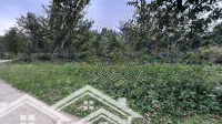 Cần Bán Gấp 250M Thổ Cư 80M Bám Mặt Đường Liên Thôn Vuông Vắn Tại Cao Sơn Lương Sơn Hoà Bình Giá 1X