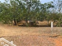 Chính Chủ Cần Bán 16700M2 Đất Ngay Bàu Trắng Cực Đẹp X. Hoà Thắng H. Bắc Bình T. Bình Thuận, 13,3Tỷ