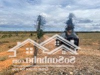 Chính Chủ Cần Bán 16700M2 Đất Ngay Bàu Trắng Cực Đẹp X. Hoà Thắng H. Bắc Bình T. Bình Thuận, 13,3Tỷ