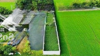 300M2 Mặt Tiền Kênh Đại Hội Thuận Trọn Gói 2 Tỷ 1