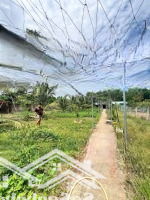 Bán Gấp Nhà Vườn 6,8 Tỷ, 2600M2 Tại Đường Trảng Bom, Xã An Viễn, Trảng Bom, Đồng Nai