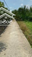 Bán Đất 1200M2 Cln Giá Rẻ Tại Bình Chánh