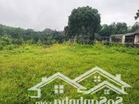 Đất Đầu Tư Nghỉ Dưỡng Yên Bài, Ba Vì Đẹp Xung Quanh Là Quần Thể Nghỉ Dưỡng