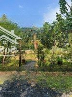 Cơ Hội Sở Hữu Farmstay Giá Rẻ Chỉ Trong 30 Ngày! Giá Bán 3,5 Tỷ Nay Còn 2,6 Tỷ