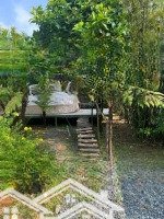 Cơ Hội Sở Hữu Farmstay Giá Rẻ Chỉ Trong 30 Ngày! Giá Bán 3,5 Tỷ Nay Còn 2,6 Tỷ