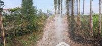 Chính Chủ Cần Bán Đất Vườn Có Nhà Và Điện Nước Đầy Đủ