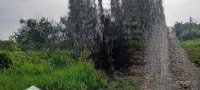 Chính Chủ Cần Bán Đất Vườn Có Nhà Và Điện Nước Đầy Đủ