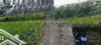 Chính Chủ Cần Bán Đất Vườn Có Nhà Và Điện Nước Đầy Đủ