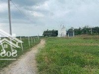 Chính Chủ Cần Bán 1100M2 Đất Nằm Quy Hoạch Khu Dân Cư. Có Thổ Cư Giá Rẻ Nhất Khu Vực