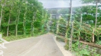 Cần Bán 6M Mặt Đường Trục Chính Vân Hoà, Với Diện Tích 246M2 Thực Tế 300M2 Có 100M2 Xây Dựng