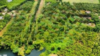 Bán Gấp Đất 6000M2 Tại Sông Hinh, Sông Hinh, Phú Yên Giá Ưu Đãi 1,9 Tỷ