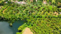 Bán Gấp Đất 6000M2 Tại Sông Hinh, Sông Hinh, Phú Yên Giá Ưu Đãi 1,9 Tỷ