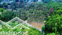 Cần Bán Nhanh 66M Vị Trí Đẹp Đường Thông Gần Sát Công Nghệ Cao Hòa Lạc Giá Bán 2 Tỷ Xíu