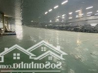 Cho Thuê Kho Kcn Nam Cấm 2500M2 Giá Rẻ