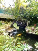 Bán Biệt Thự Nhà Vườn, Phố Thái Hà, Đống Đa, Ôtô Ngủ Trong Sân,Diện Tích180M2,Mặt Tiền12M, Giá Bán 43 Tỷ