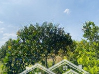 Cần Bán Lô Đất Giá Rẻ Xã Hòa Hiệp, Huyện Xuyên Mộc Brvt. 47.949M² Giá: 250 Triệu/S 0878 567 179