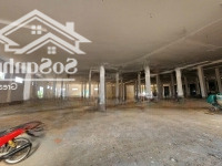 Cho Thuê Xưởng Mới Khu Công Nghiệp Bình Phước. Diện Tích 18.000M2, 46.000M2. Giá 66.508Đ/M2/Tháng