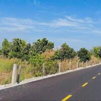Bán 3000m2 -ngang 33 x 90m- TT Phước Hải -Đất Đỏ- Bà Rịa Vũng Tàu- 2 Mặt Tiền Trước Sau