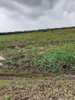Chính Chủ Bán Đất View Sông Đẹp 3 Sổ Riêng Lộc Hậu, Cần Giuộc, Long An Tổng Diện Tích: 9.856M2