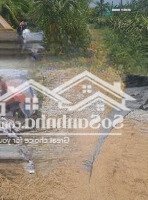 1000M2 Đường 3M Cặp Kênh. Làm Nhà Vườn
