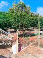 Đất Châu Đức Diện Tích: 135M2 (5M X 27M) Sẵn 80M2 Thổ Cư Mặt Tiền Nhựa, Sẵn Sầu Riêng Và Bơ