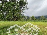 Bán Sáu Công Cây Sao Vừa Mặt Tiền Đường Cây Sao Vừa Mặt Biển Cây Sao, Hàm Ninh, Giá 12 Triệu/M2