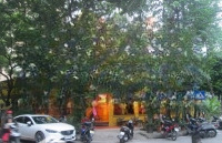 Bán 02 Căn Nhà Bt Liền Kề Tổngdiện Tích723M2 (336M2 + 357M2) Mặt Tiền Phố Đô Thị Pháp Vân, Hoàng Mai