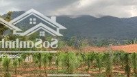 Bán Đất Tại Gia Hiệp, Di Linh, Lâm Đồng, Giá Thỏa Thuận, 1000M2, Mặt Tiền 14M, Đường Betong 5M