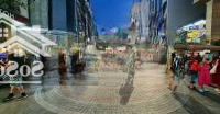 Chính Chủ Cần Cho Thuê Đất Trần Bạch Đằng - Phố Tây - Ngay Chợ Đêm An Thượng