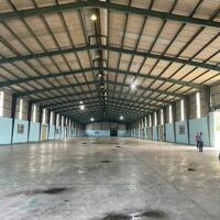 Cho thuê kho xưởng 5000m2 tại An Phú, Thuận An, Bình Dương