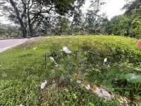 Cần Tiền Bán Lô Đất 225M Mặt Tiền Quốc Lộ 27C Chỉ 750 Triệu
