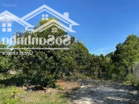 Gửi Đến Nhà Đầu Tư 4200M2 Quy Hoạch Full Thổ Cư Tại Hòn Dù, Khánh Nam.