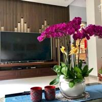 Bán Biệt thự 200m2 siêu đẹp ngay trung tâm TP.Biên Hoà khu vip D2D chỉ 19 tỷ