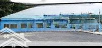 Cho Thuê Kho Xưởng 5000M2 Tại An Phú, Thuận An, Bình Dương
