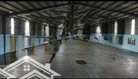 Cho Thuê Kho Xưởng 5000M2 Tại An Phú, Thuận An, Bình Dương