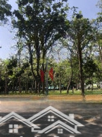 Chính Chủ Ngộp Cần Bán Gấp Chung Cư Trung Tâm Quận 2 Tp Thủ Đức Giá Rẻ