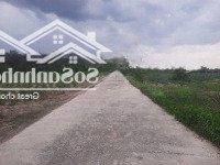 Chính Chủ Bán Nhanh 8600M2(260 Thổ) Tóc Tiên, Tp. Cảng Phú Mỹ
