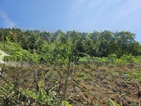 Bán Đất Tại Đường 21, Xã Cao Dương, Lương Sơn, Hòa Bình, 1,3 Triệu / M2, 4862 M2
