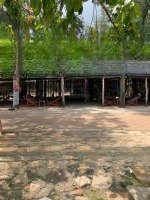 Bán Đất Nền View Đẹp Tại Đường Phan Đức, Long Hòa, Cần Giờ, Hcm, Giá Thỏa Thuận, 3310 M2