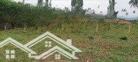 Đất Trồng Cây Hằng Năm, 1240M2 Gần Nhà Dân Ở, Quy Hoạch Đất Ở, Xây Nhà Được